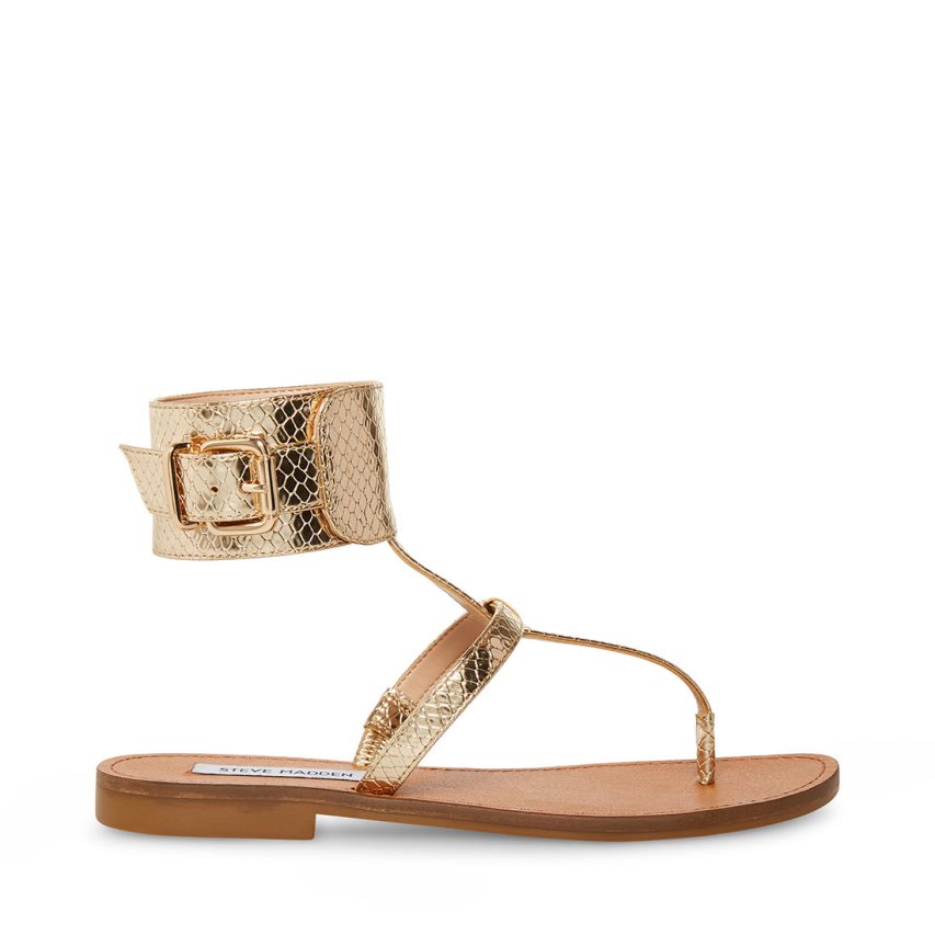 Gold Steve Madden Rico Snake Women\'s Flat Sandals | PH 3147A16J